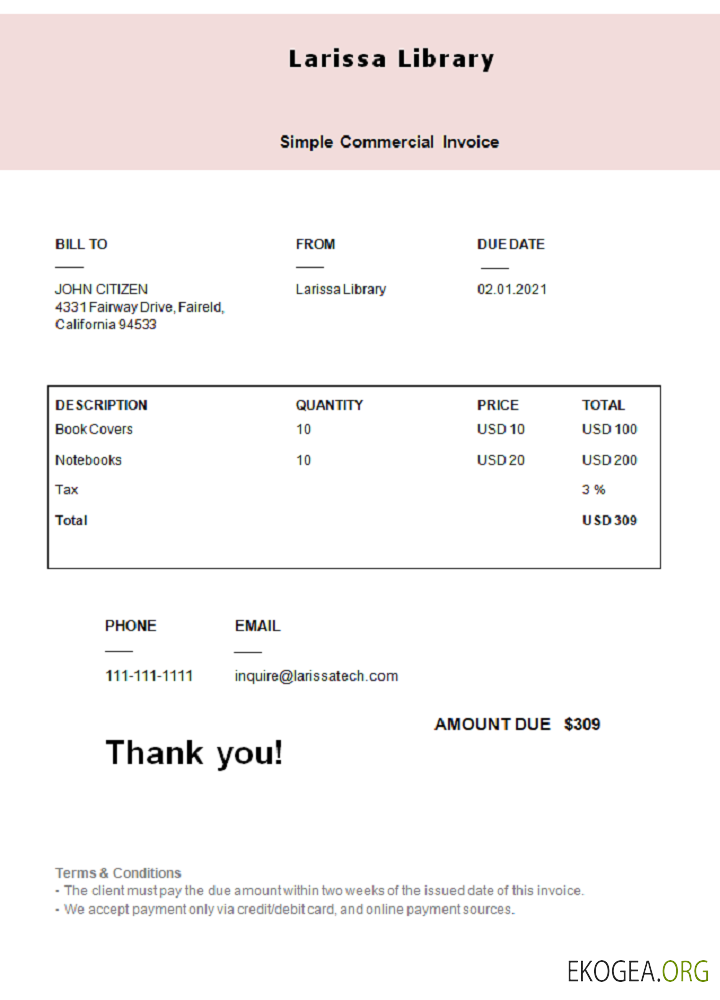 Facture de la bibliothèque Larissa des États , Unis